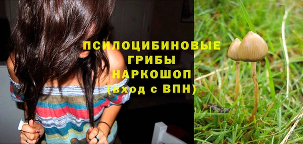 бошки Абдулино