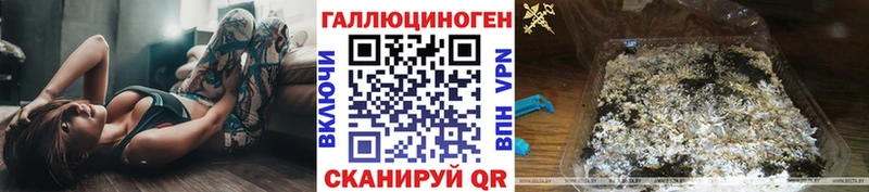Псилоцибиновые грибы Cubensis  Уржум 